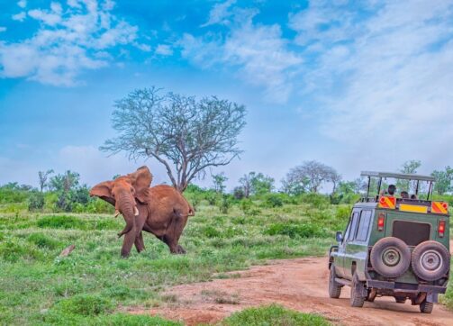 Akagera Nat Park Day trip