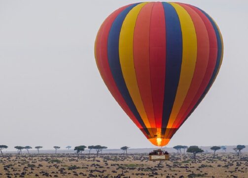 6 Days – Masai Mara and Lake Nakuru